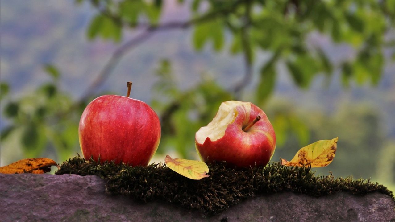 Det blir kanske två Apple-släpp i oktober