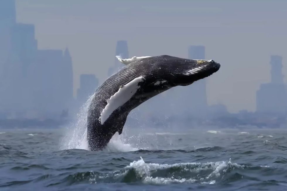 En första titt på Blue Planet III