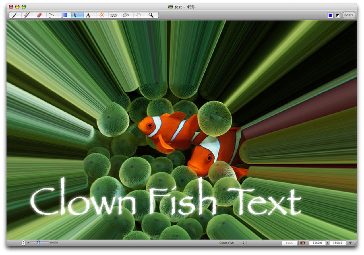 En trevlig kompis till iPhoto
