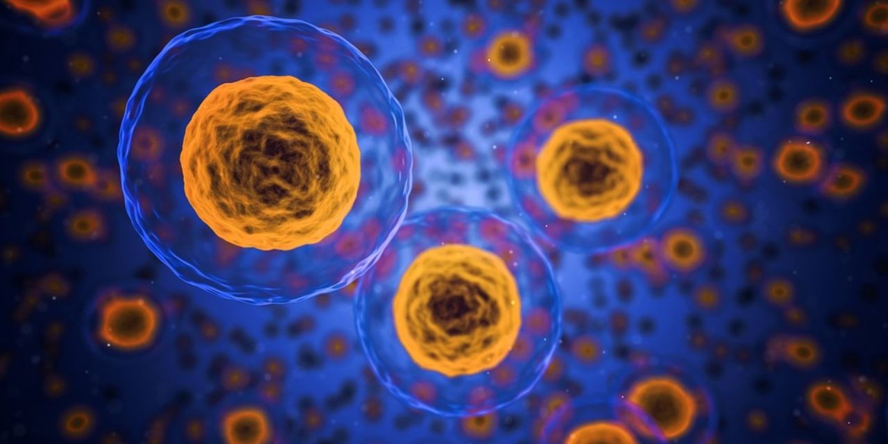 Google investerar i Zuckerbergs Biohub