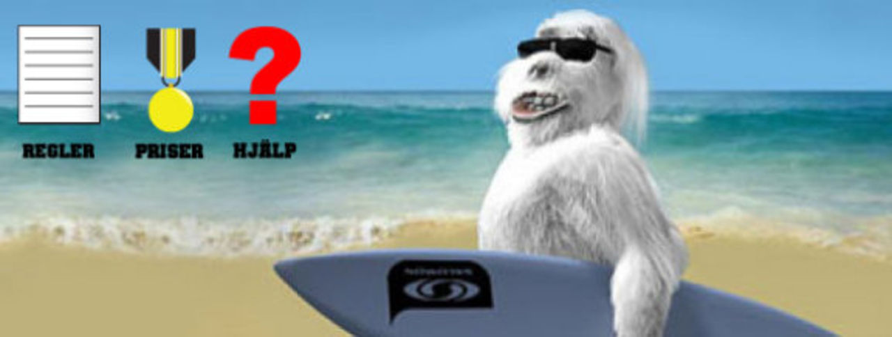 Kanal 5 erbjuder Pingvin-SM 2008