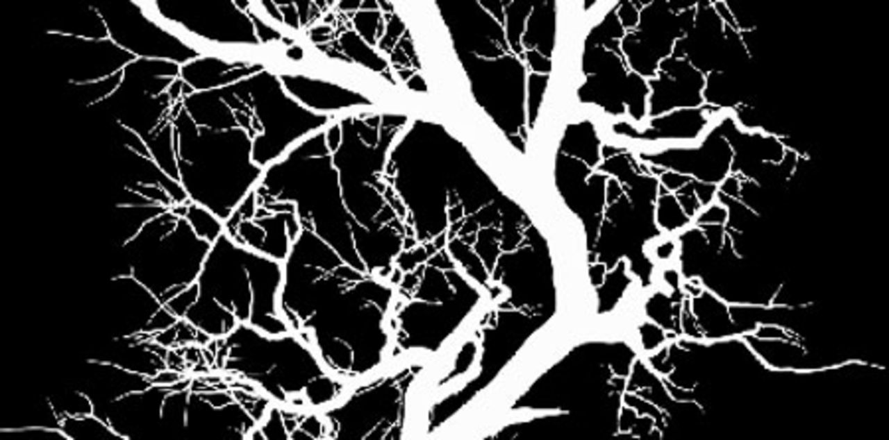 Vinterek av Johan Carpner