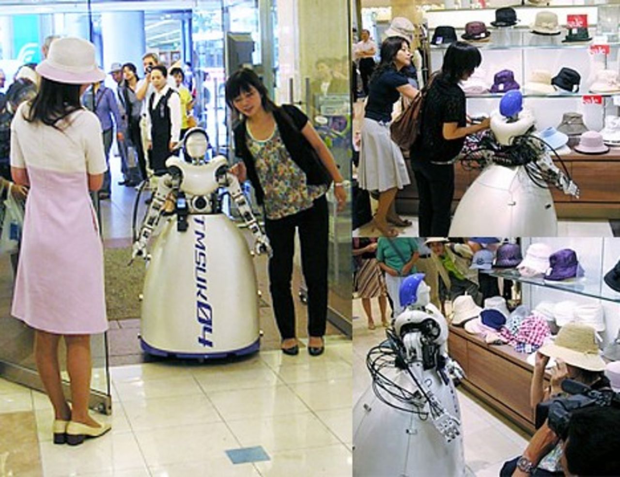 Shopping-robot