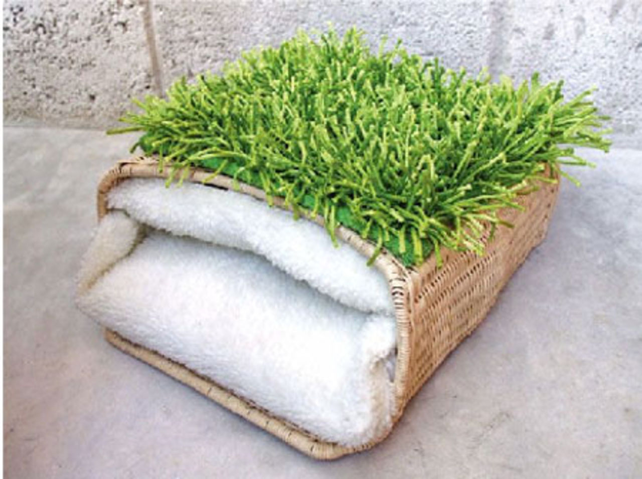 Stoppa fötterna i Herbin