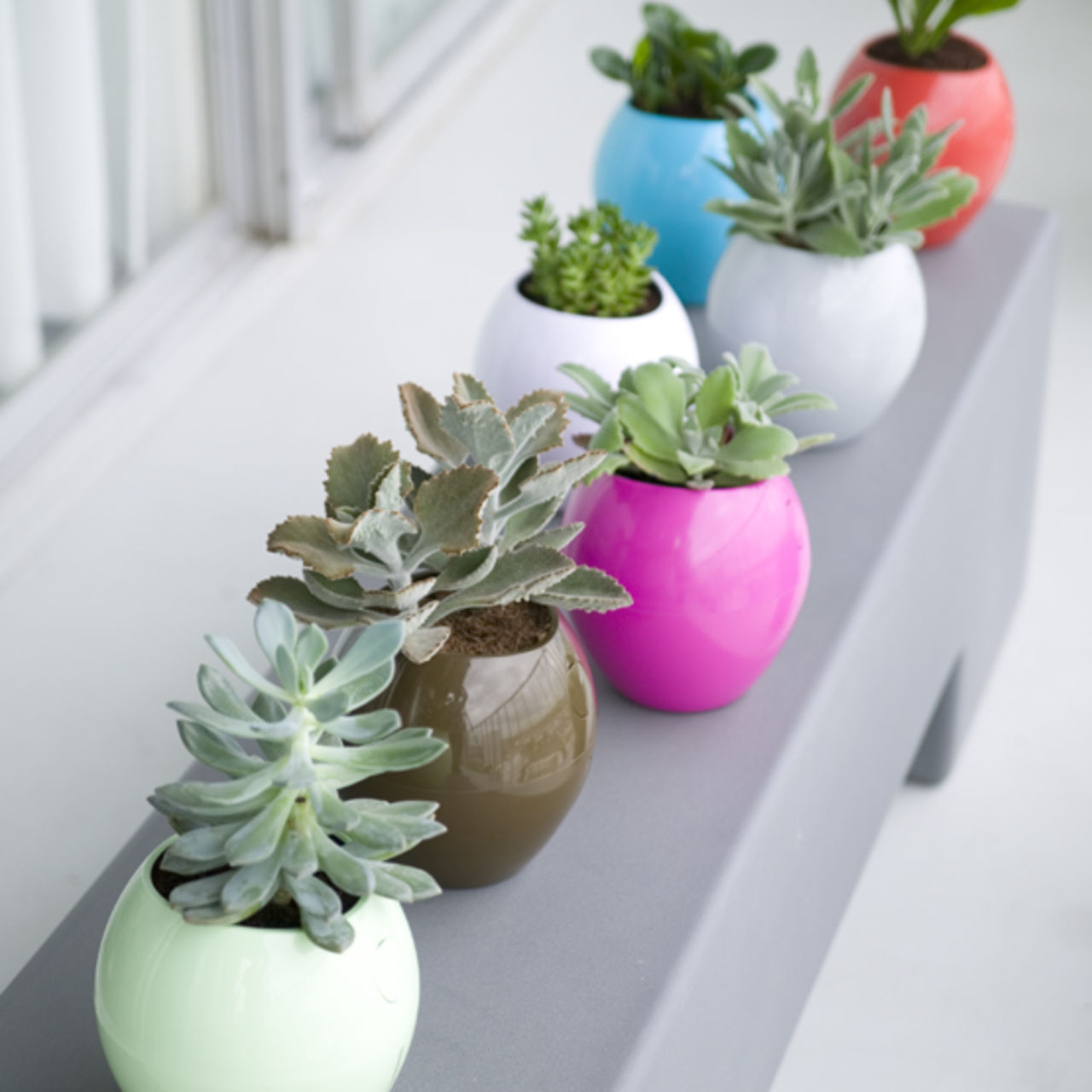 Självvattnande krukorna Grobals