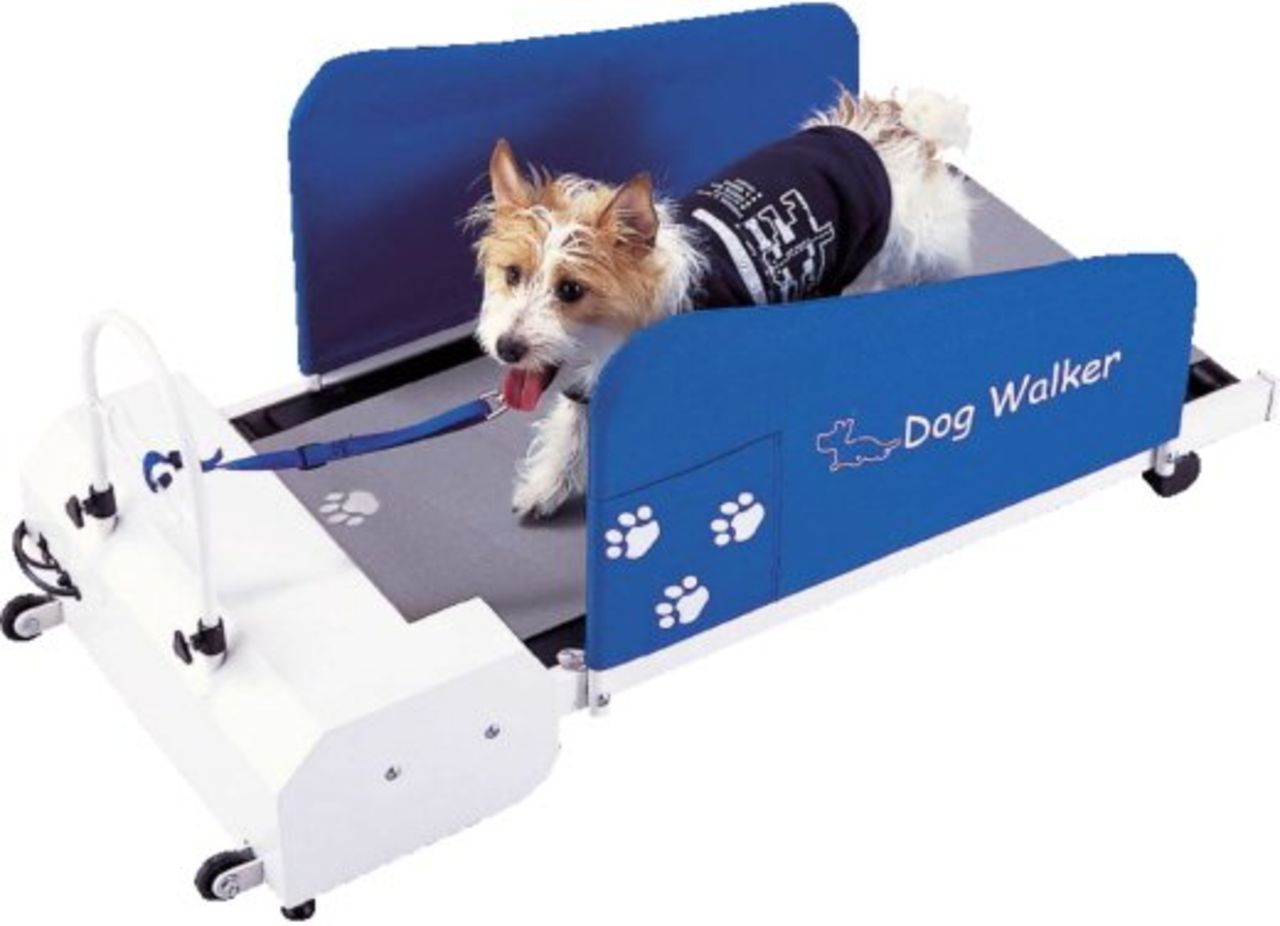 Dog Walker