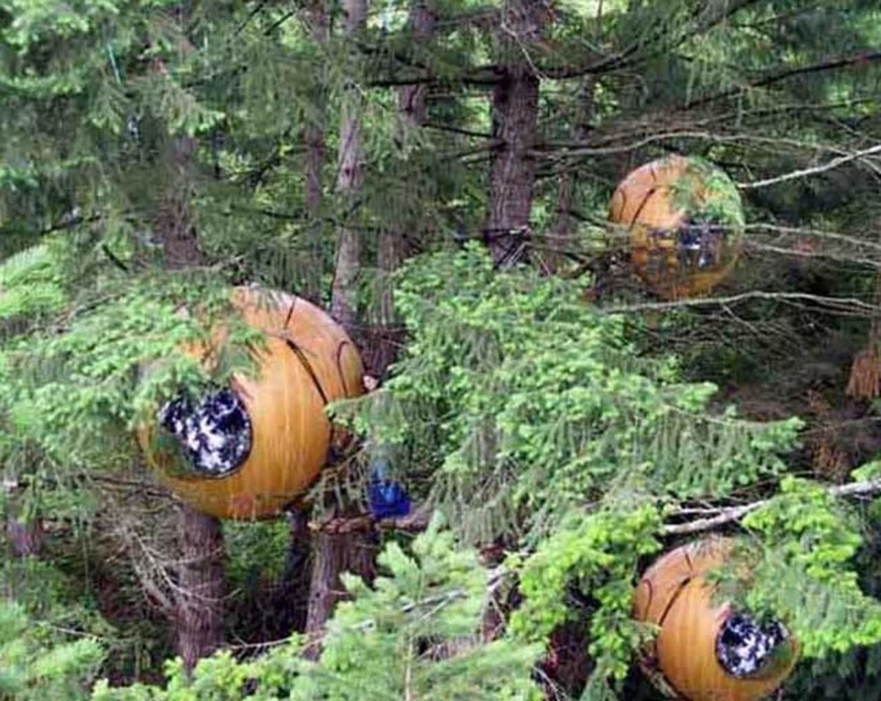 Ta en tripp till Kanada...