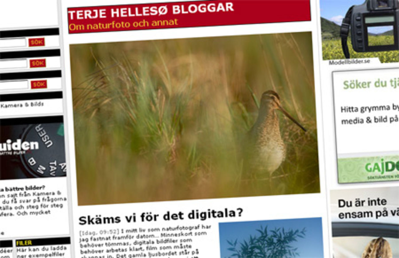 Blogg från Hellesø