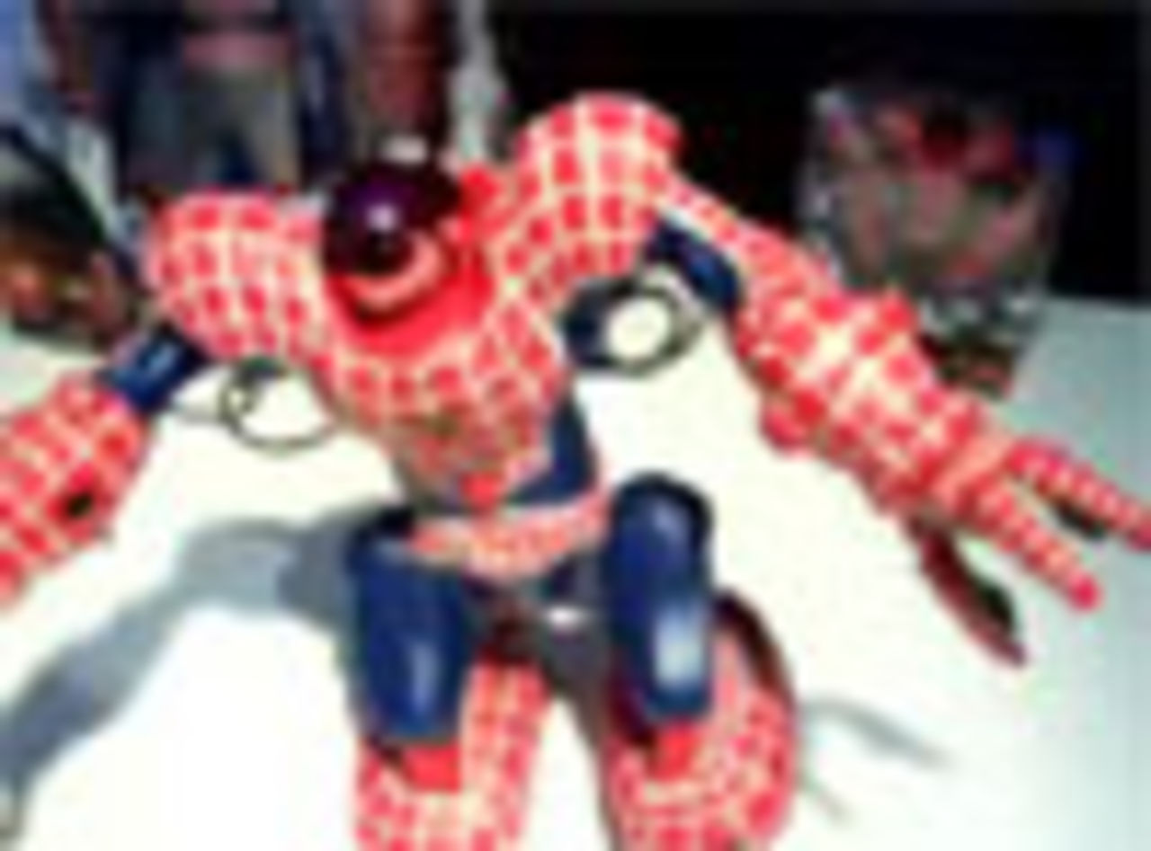 Video på Spidersapien