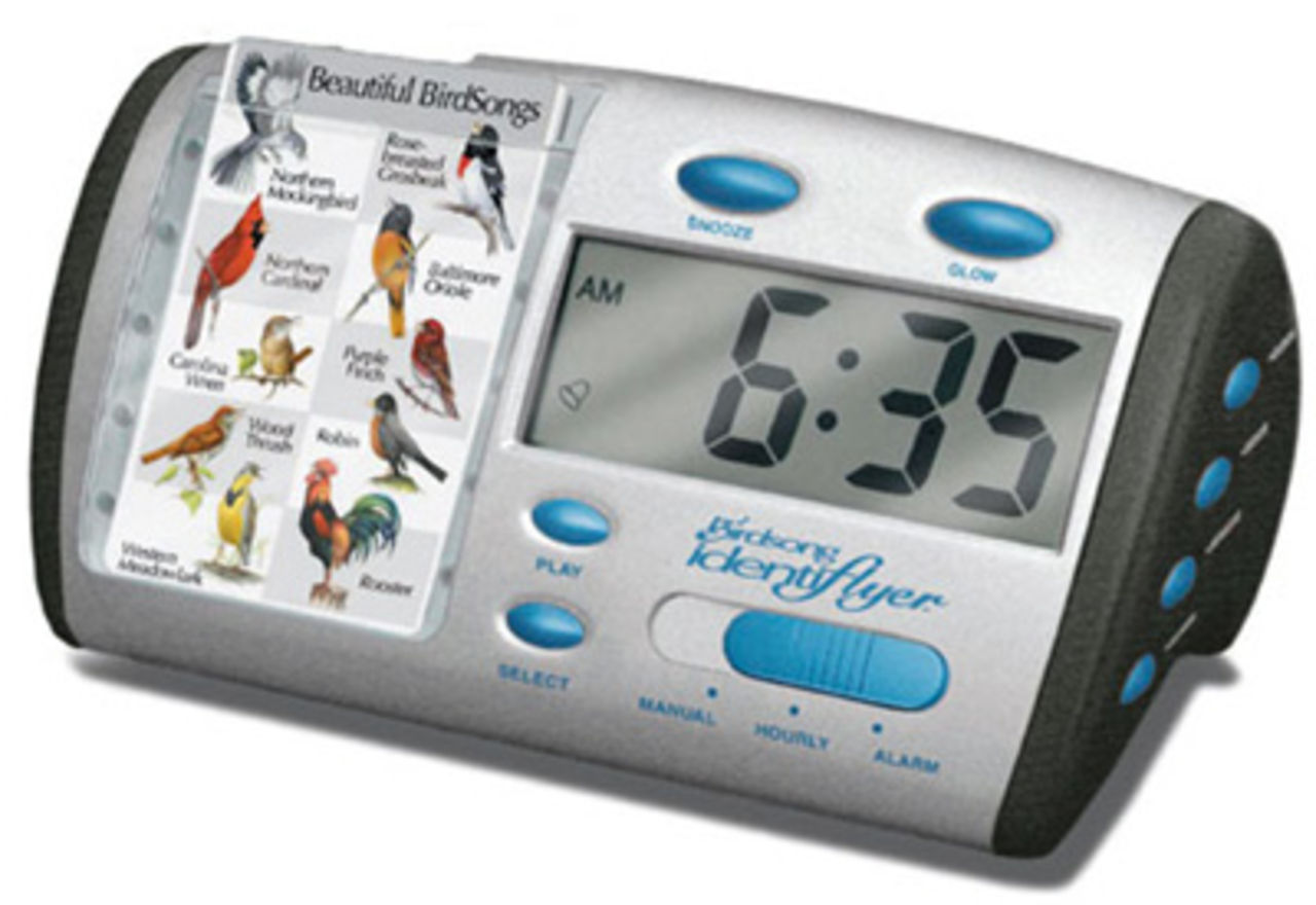 Vakna till fågelkvitter 