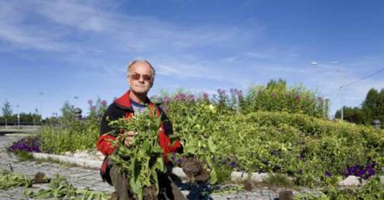 Skadegörelser i blomsterlådorna skylls på GTA