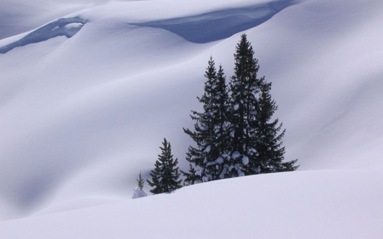 En amerikan bosatt i Berlin bygger vid Polcirkeln