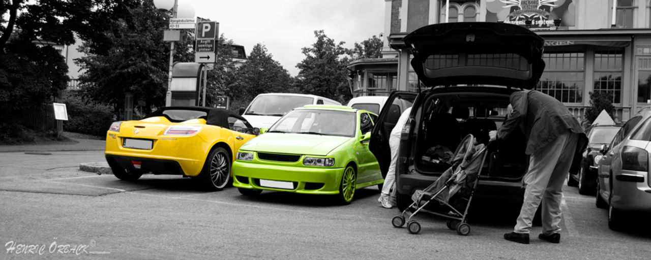 Polo och Shelby