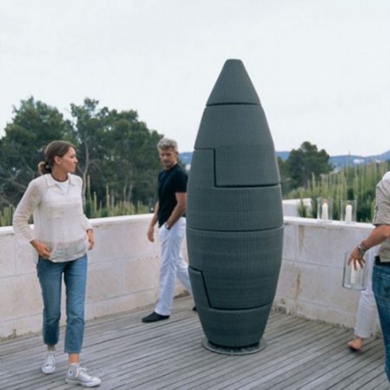 Vad är det som har landat?