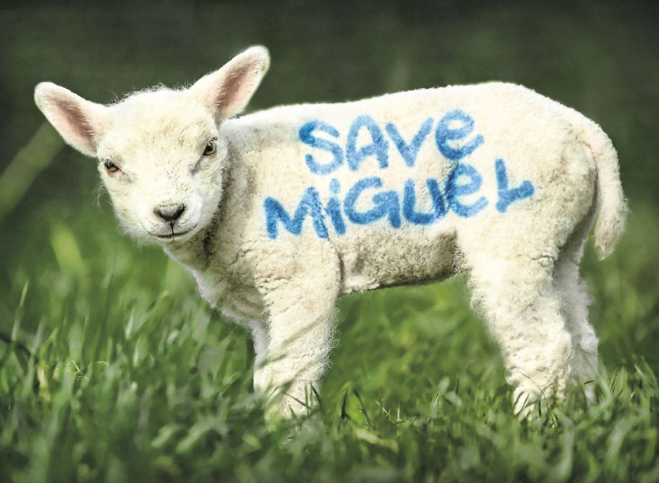 Vad menar man Miguel?