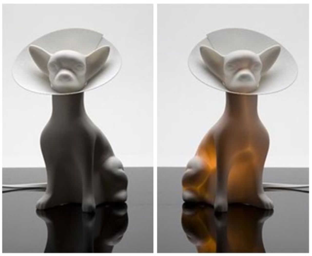 Fler djur till samlingen