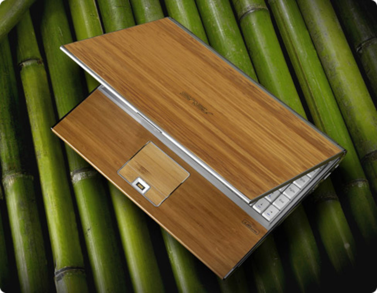 Bärbart från Asus i bambu