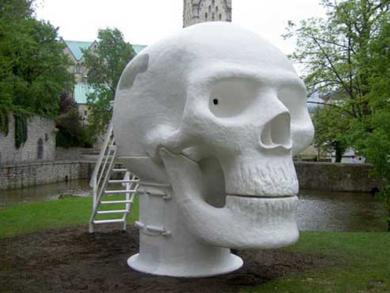Wellness Skull