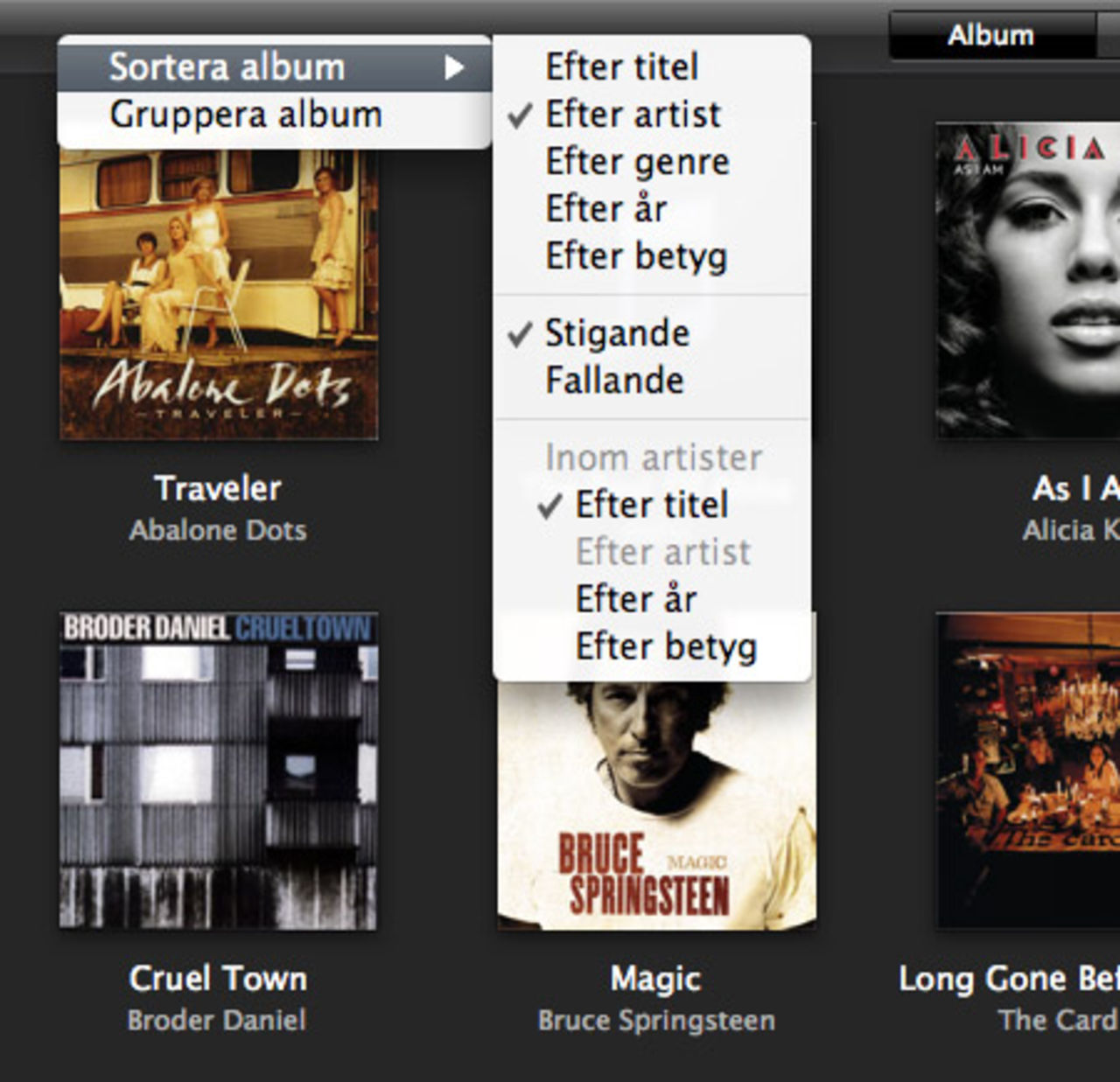 Sortera musiken i iTunes 8