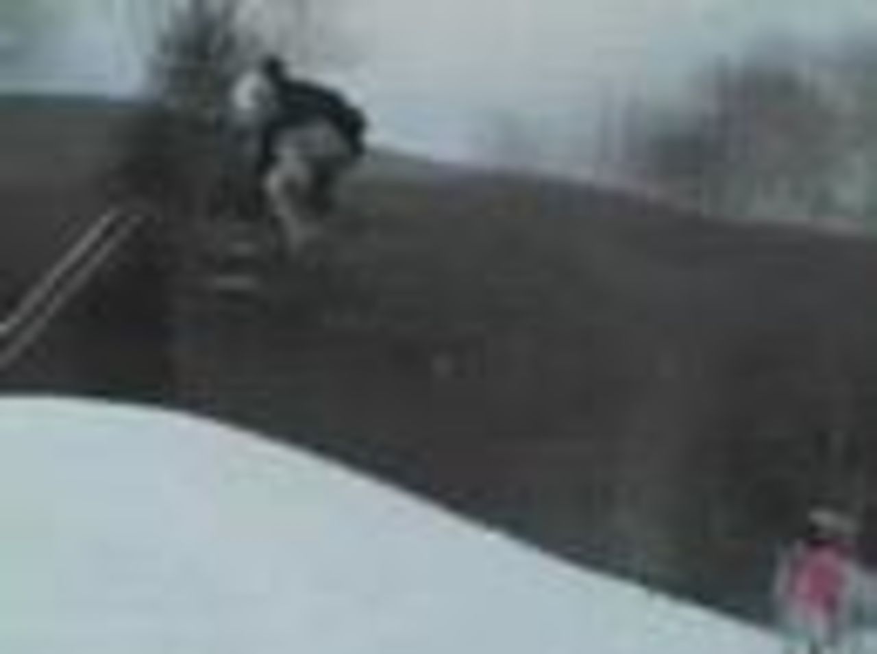Skidor: Risig landning