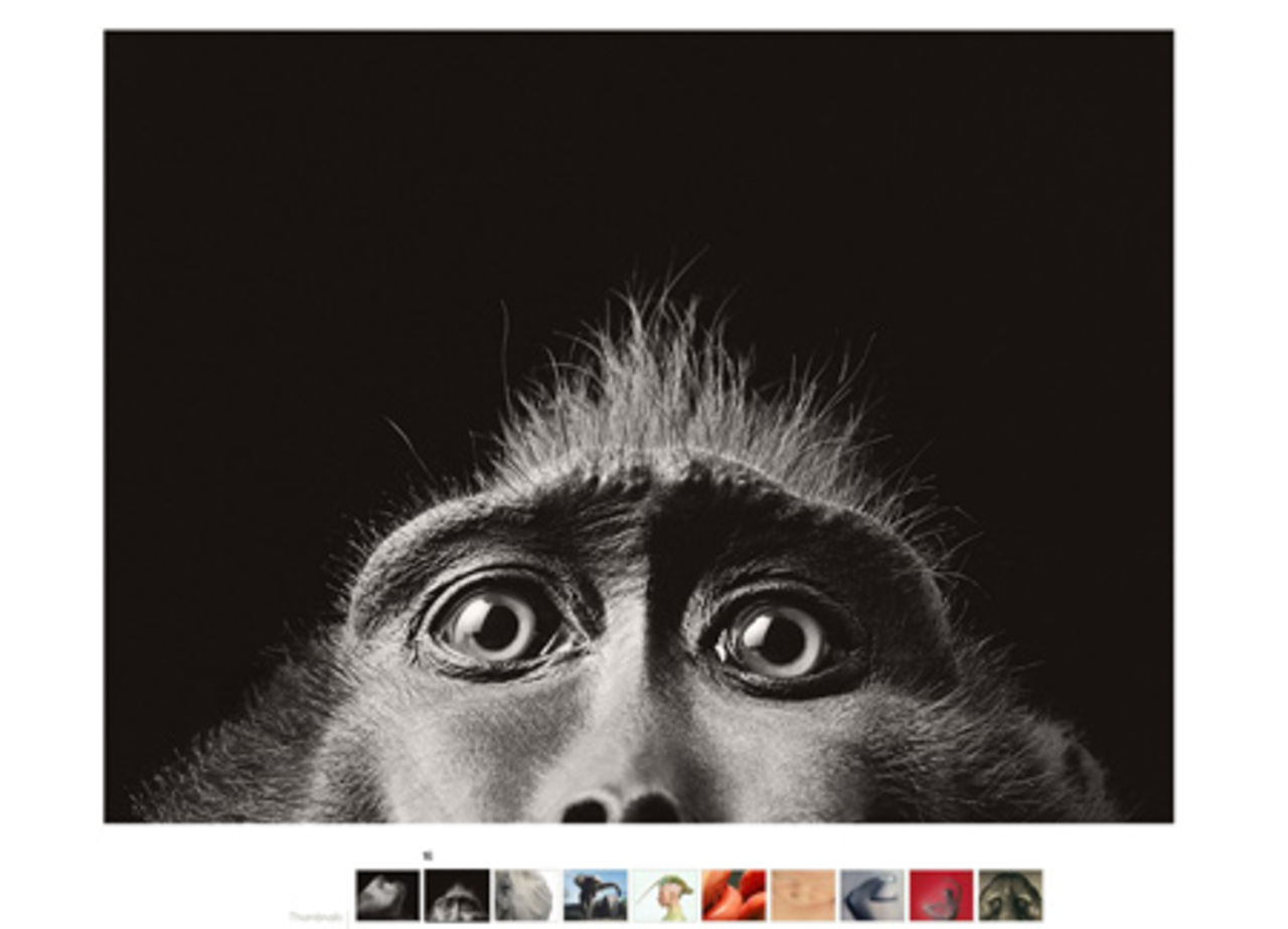 Fotograf: Tim Flach
