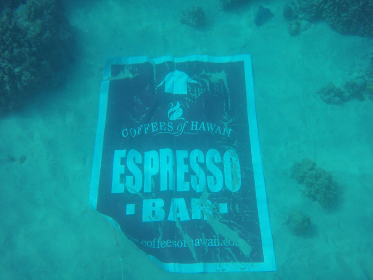 Coffees of Hawaii