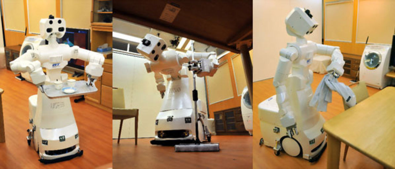 Den perfekta hemhjälpen?