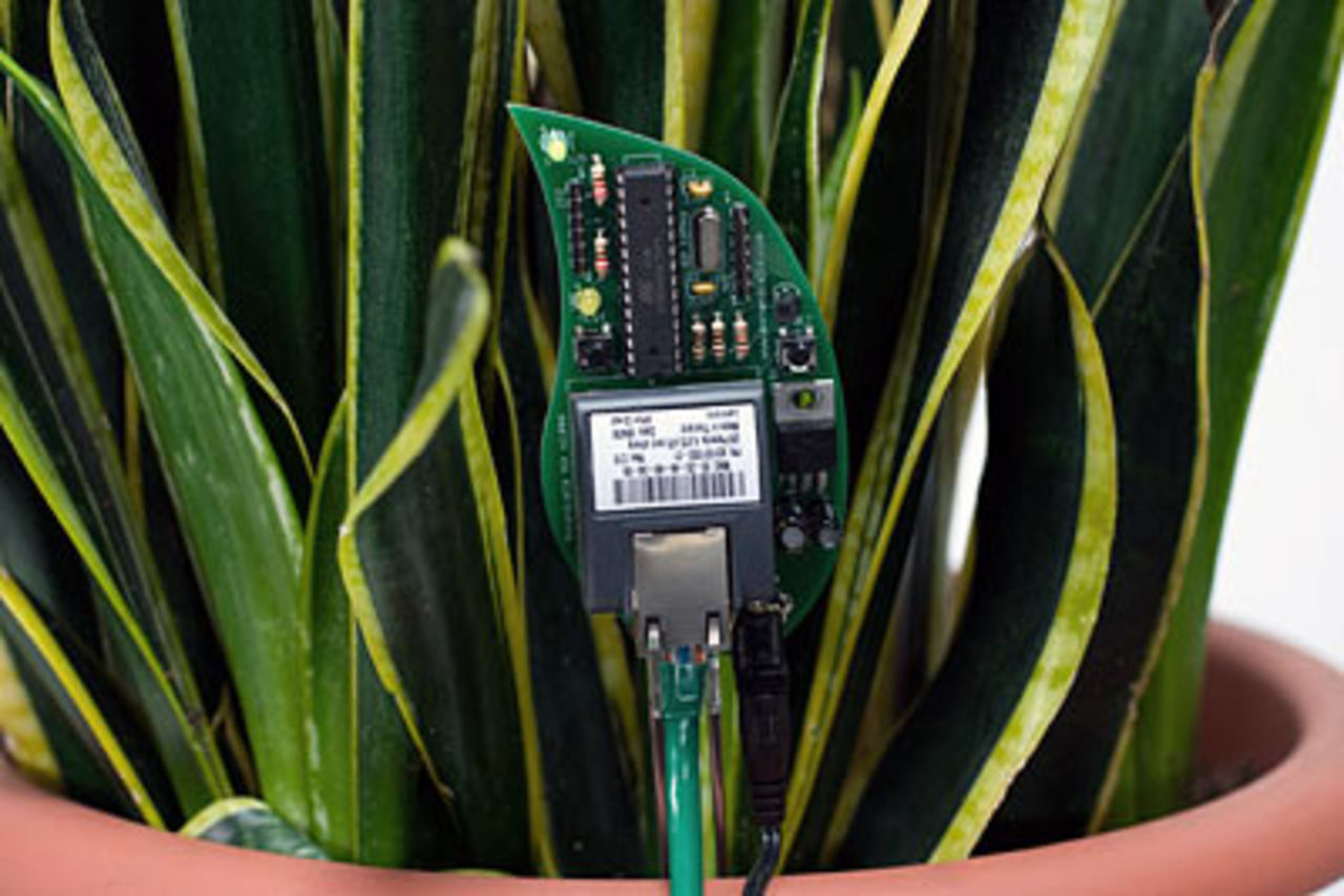 Håll koll på plantorna