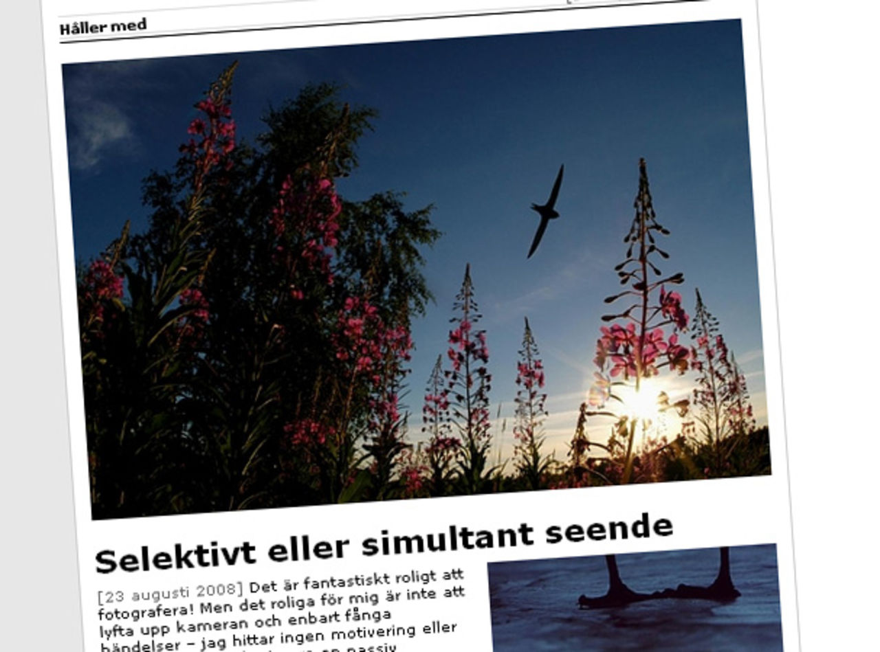 Blogg: Terje Hellesø