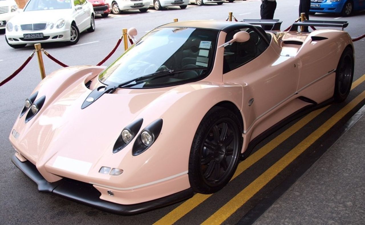 Rosa Pagani Zonda S