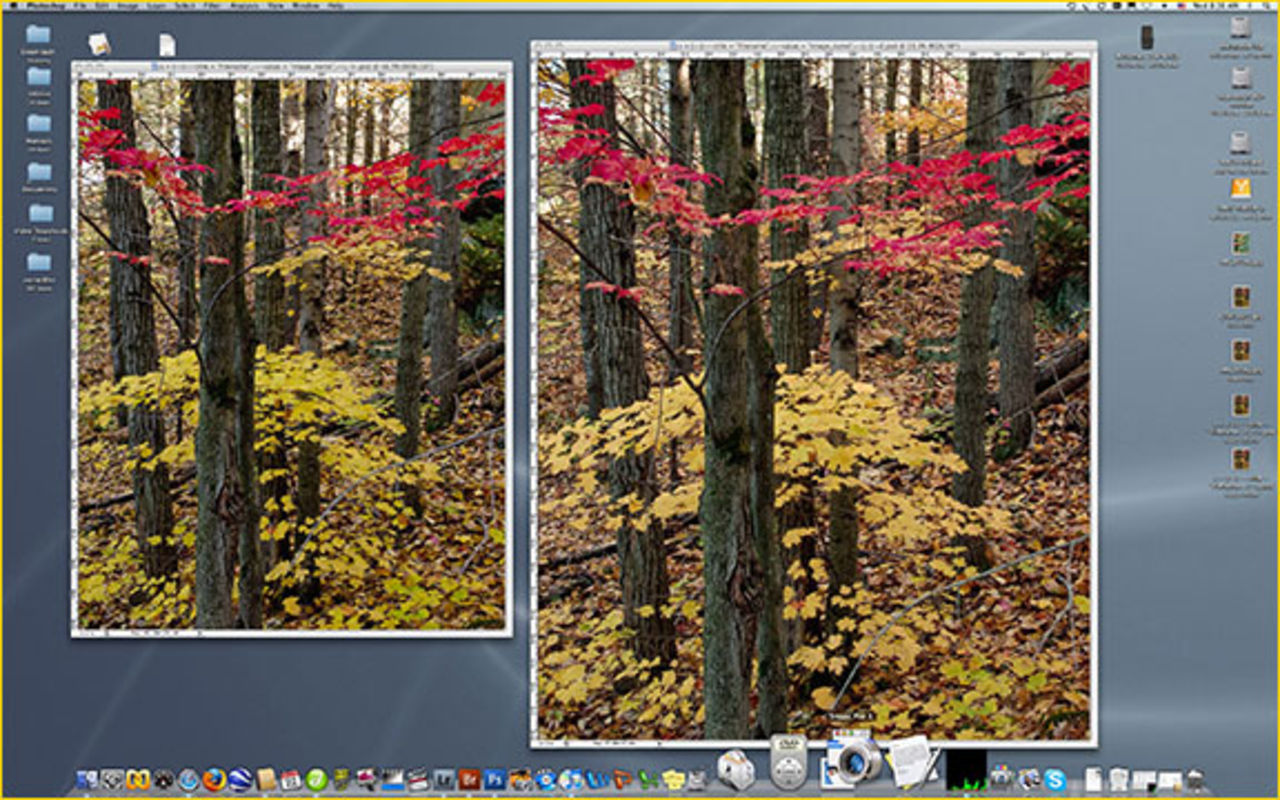 Canon G10 vs Hasselblad