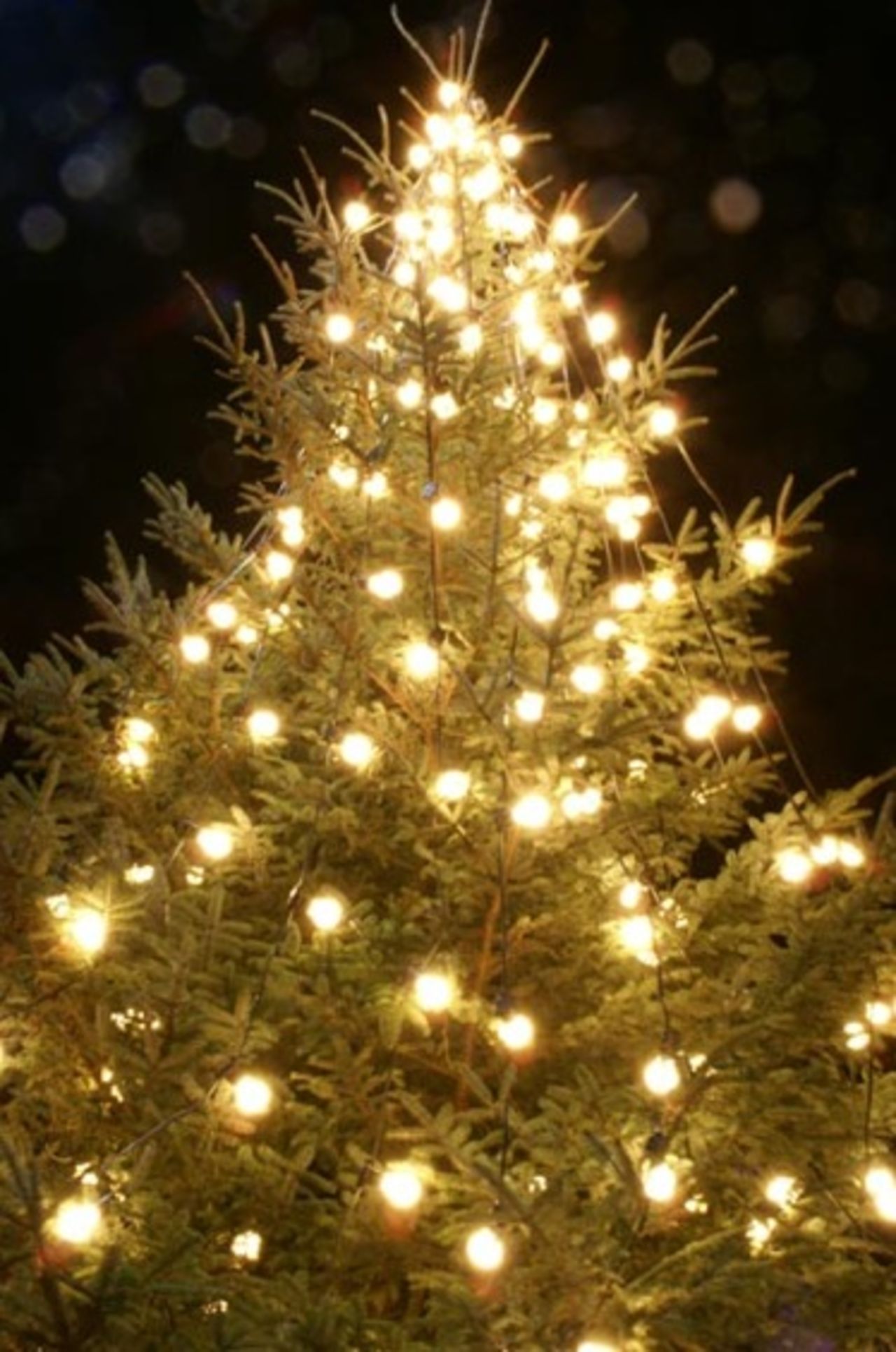 Behöver du julgranspynt?