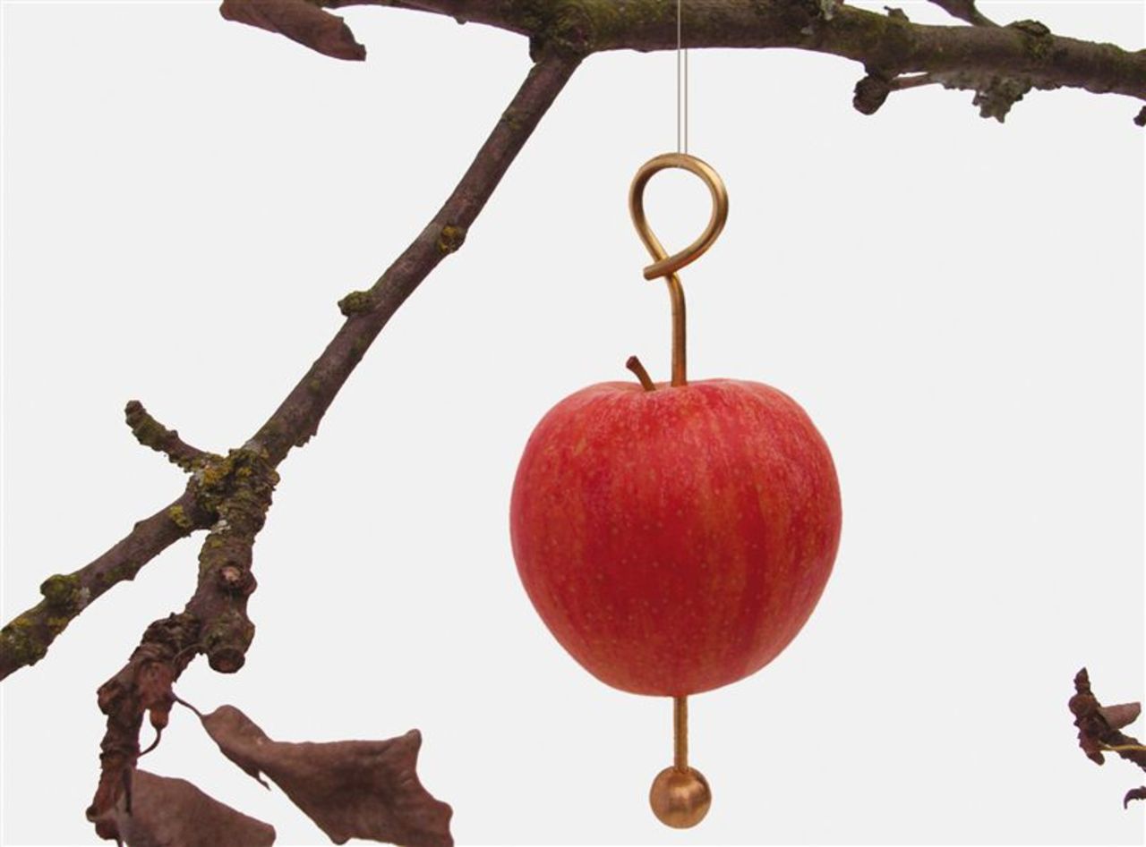 Fåglar gillar äpplen