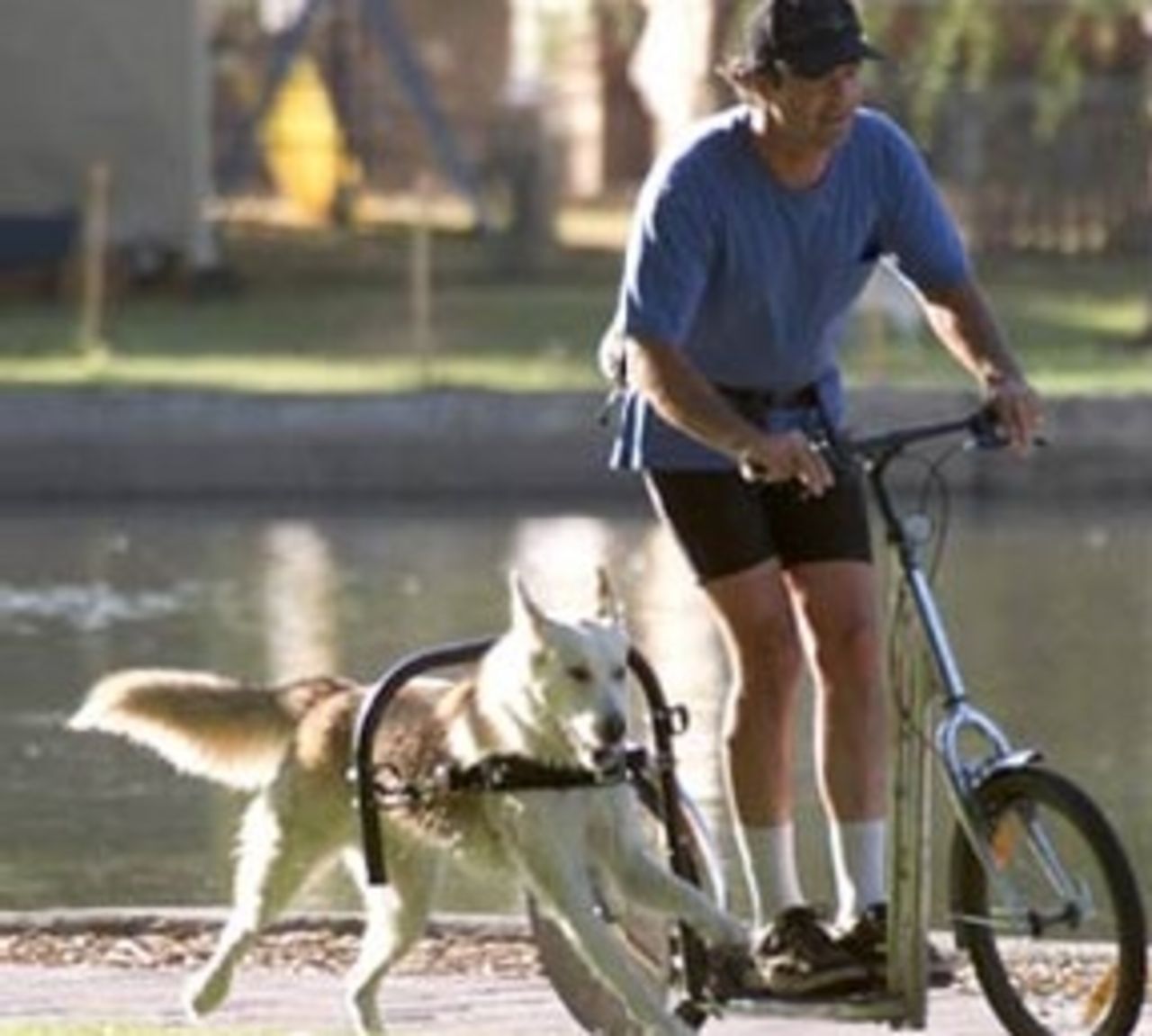En sparkcykel som drivs med hundkraft