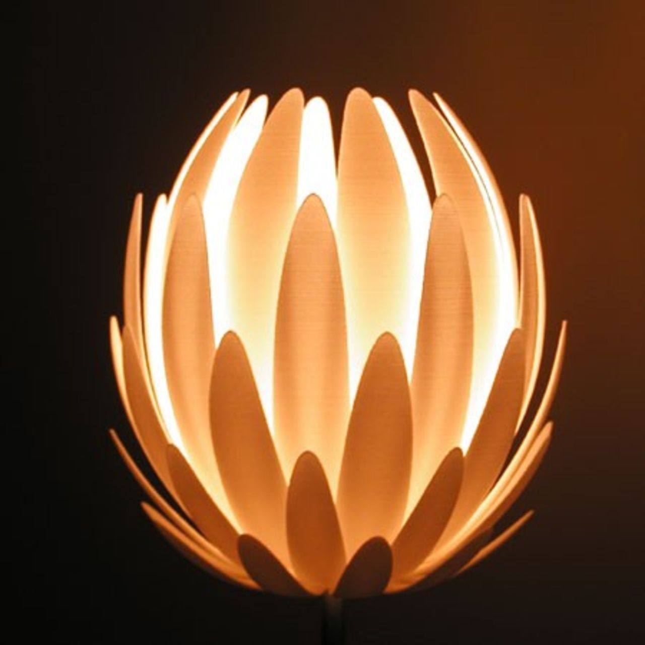 Vacker blomma lyser upp