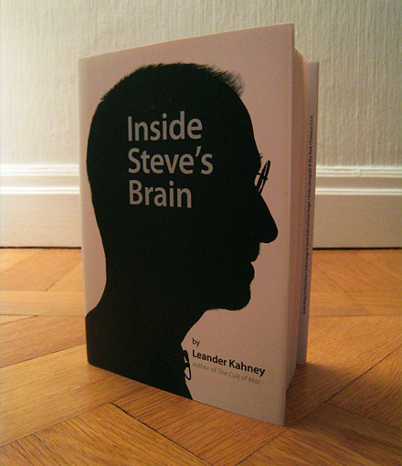 Inside Steve's Brain