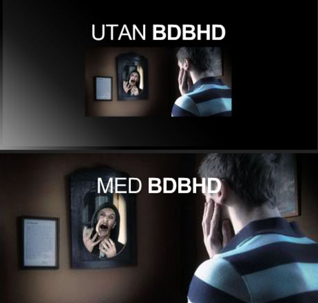 BDB HD - Bilddagboken goes HD