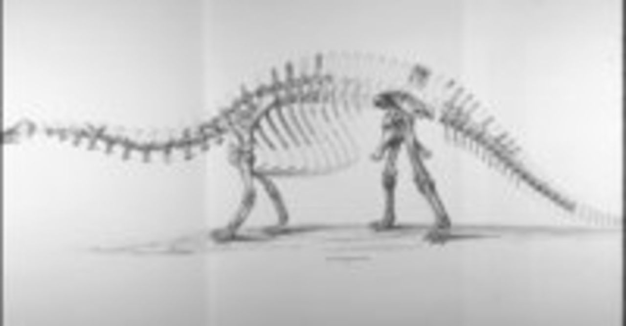 Dinosuariespår hittade i mexikansk öken