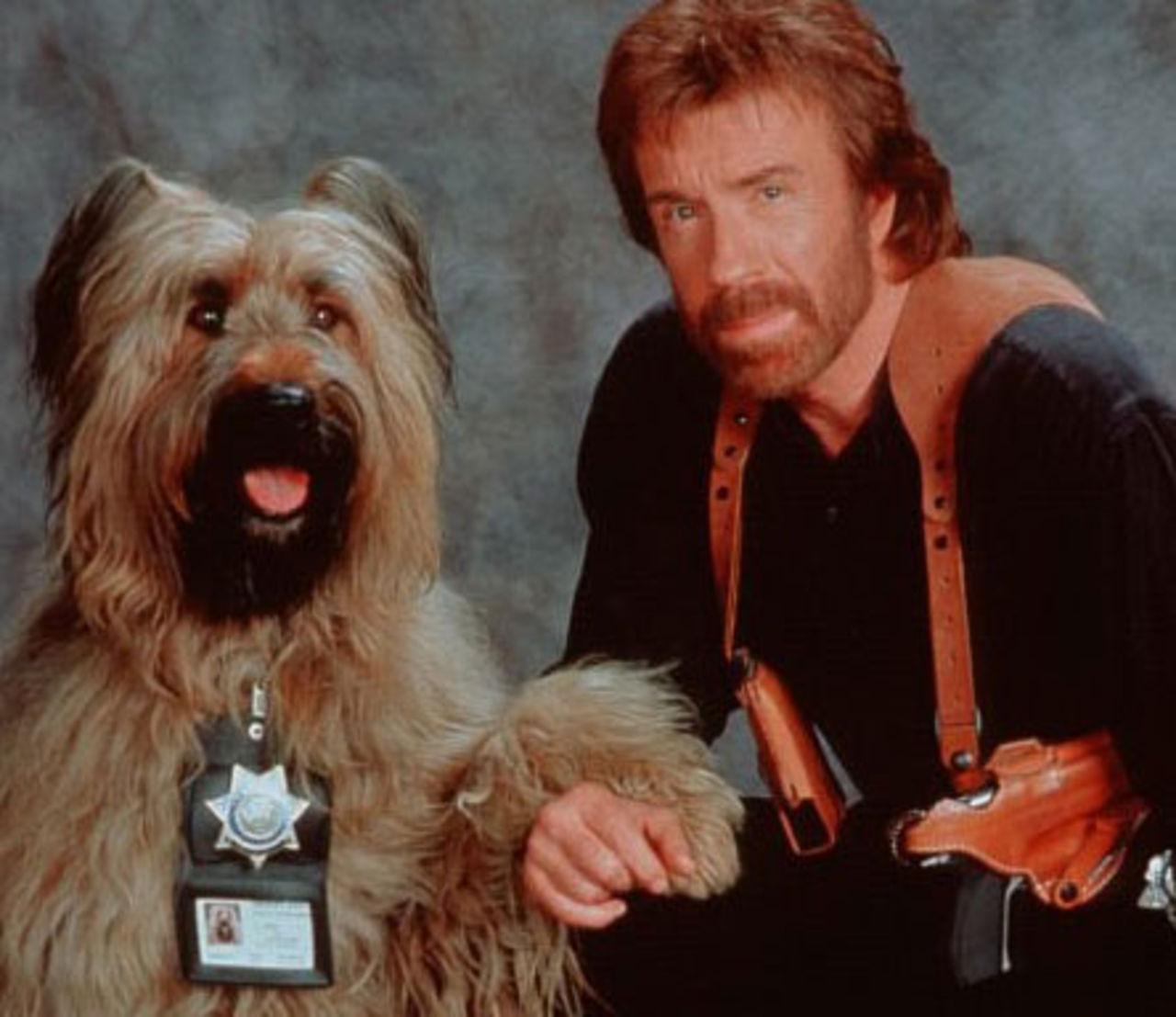 Namco Bandai utvecklar ännu ett Dead to Rights-spel