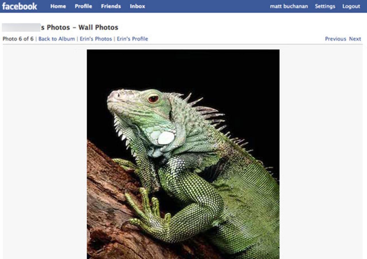 Om du envisas med att äta utrotningshotade djur...