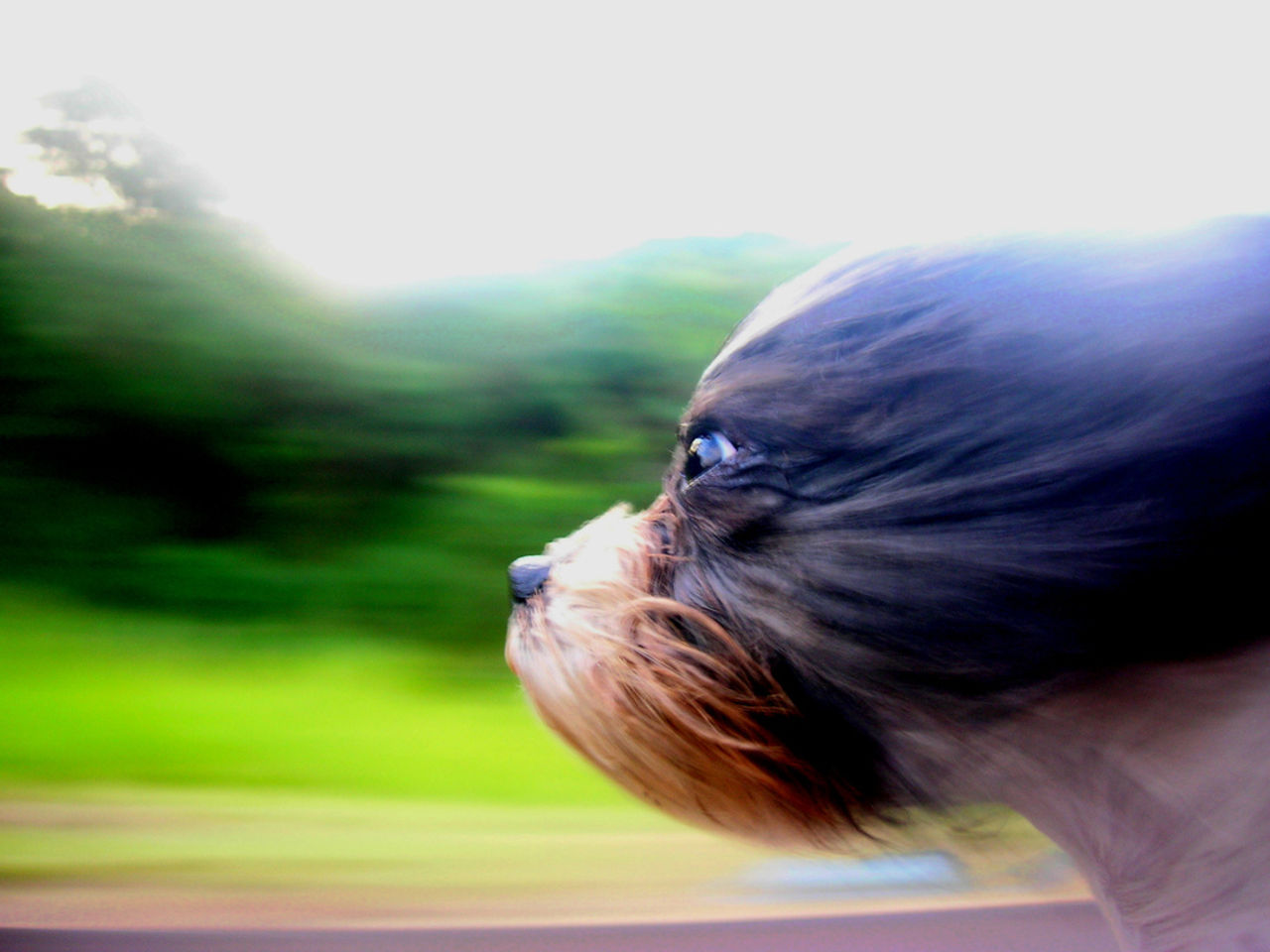 Så får du fart i nätverket