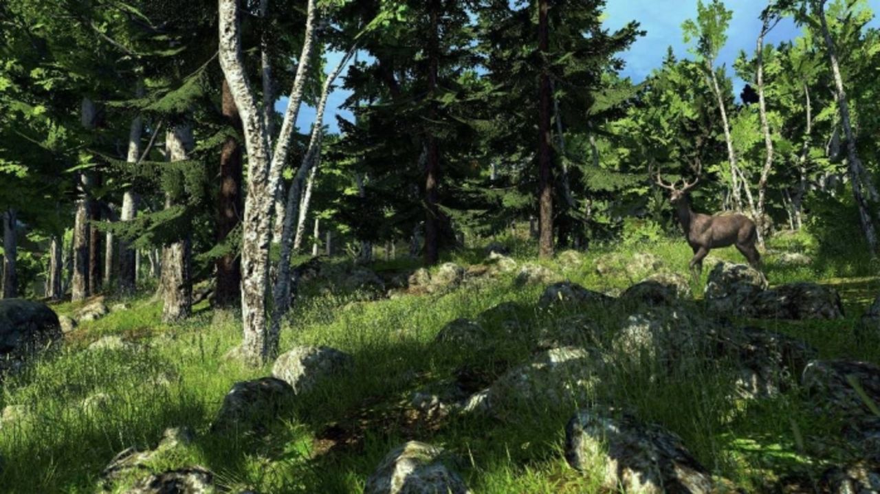 FZ har spelat på The Hunter