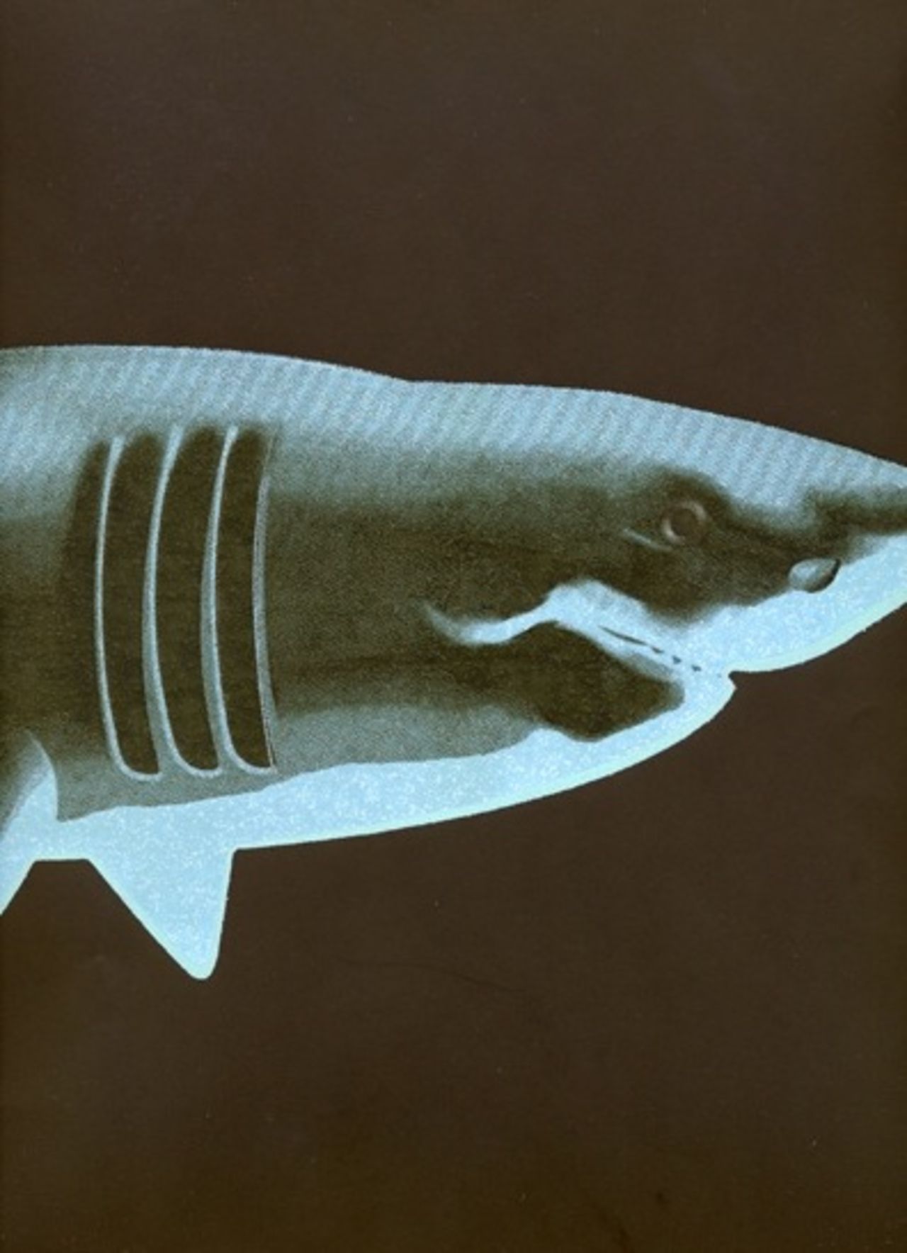 Pryd väggarna med hajar