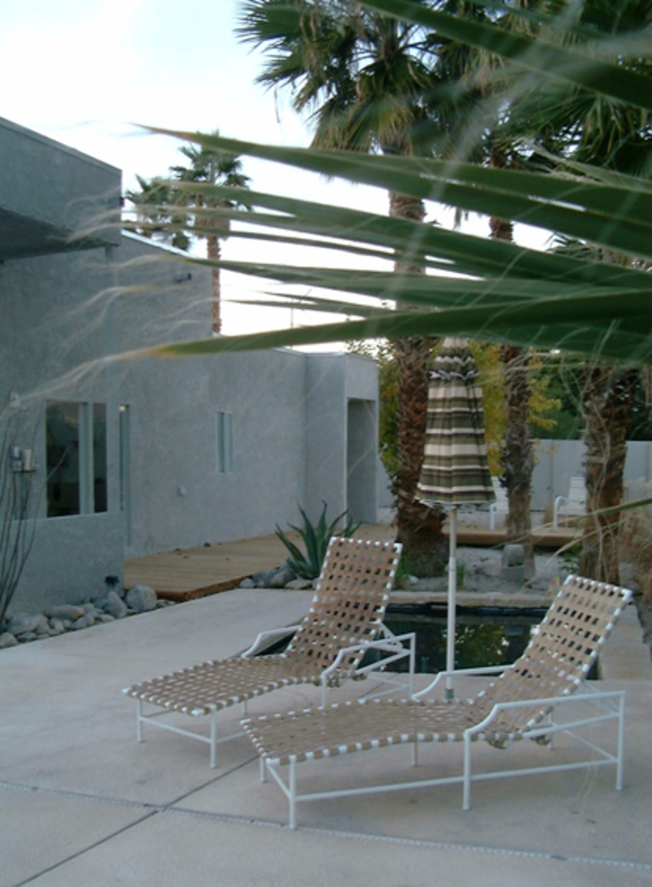 En vecka i Palm Springs