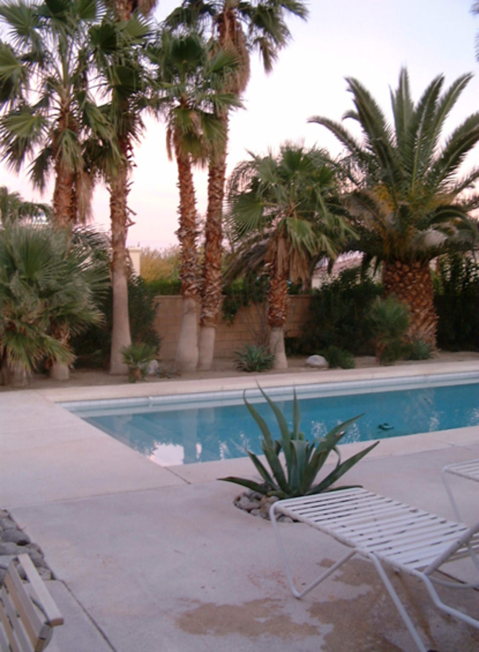 En vecka i Palm Springs