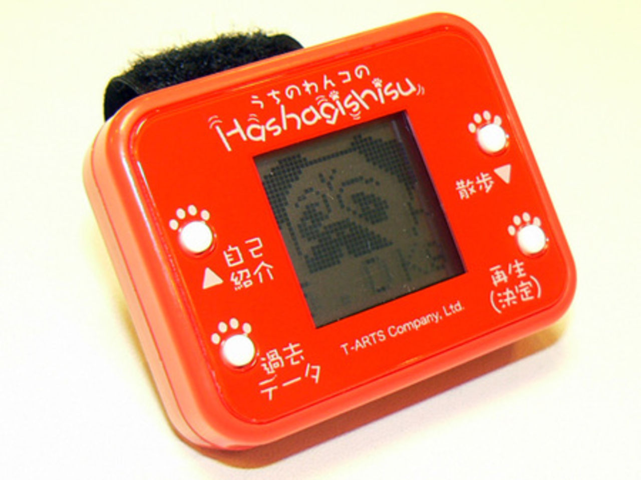 Stegräknare till hunden