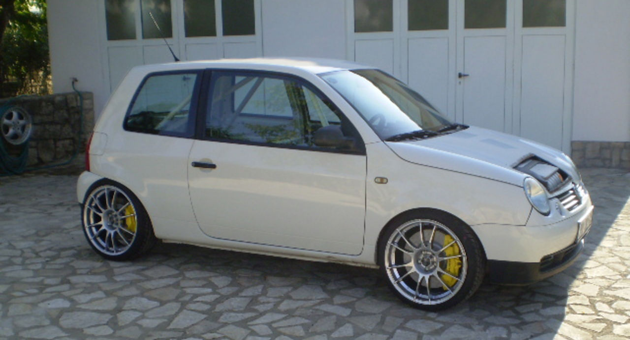 Lupo W12